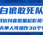 白狼敢死队最新抖音短视频批量起影视号(一天单人可操作30个号)视频课程-16888副业资讯