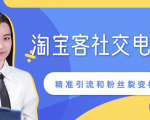 某站内部课程:淘宝客社交电商裂变,精准引流和粉丝裂变模式详解(共6节视频)-16888副业资讯