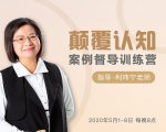 颠覆认知,案例督导训练营:打破旧模式 引领新思维-16888副业资讯