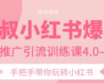 狼叔小红书爆款推广引流训练课4.0,手把手带你玩转小红书-16888副业资讯