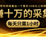 年赚十万的采集站,每天却只需要1小时,一年时间采集出一个售价10W以上的网站-16888副业资讯