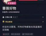 爆抖联盟蔷薇好物连怼100技术,一天连怼上百个视频,单场直播平均带货30万玩法-16888副业资讯
