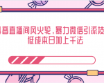 抖音直播间风火轮,暴力微信引流技术,低成本日加上千法-16888副业资讯