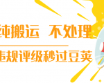 抖音纯搬运 不处理 小技巧,30秒发一个作品,避免违规评级秒过豆荚-16888副业资讯