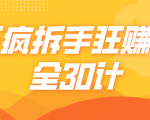 三疯拆手狂赚计,全30计课程-16888副业资讯