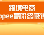 2020跨境电商蓝海新机会-SHOPEE大卖特训营:高阶终极课程(16节课)-16888副业资讯