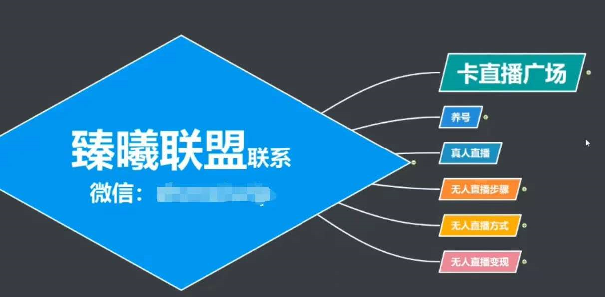 臻曦联盟，最新无人直播万人在线技术理原及详细操作步骤解析（视频教程）-16888副业资讯