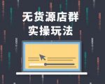 无货源店群实操玩法,蓝海选品的独特思路,店群软件操作方法(45节视频课)-16888副业资讯