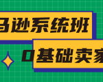 亚马逊系统班,专为0基础卖家量身打造,亚马逊运营流程与架构-16888副业资讯