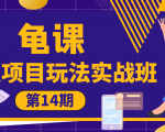 龟课·闲鱼项目玩法实战班第14期,批量细节玩法,一个月收益几万-16888副业资讯