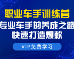 职业车手训练营:专业车手的养成之路,快速打造爆款(8节-无水印直播课)-16888副业资讯
