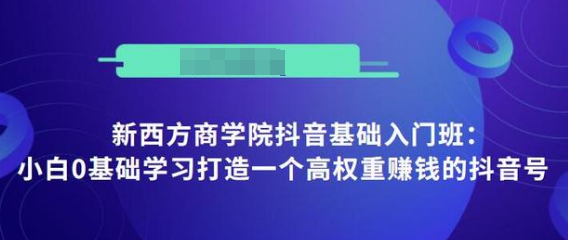 抖音基础入门班：小白0基础学习打造一个高权重赚钱的抖音号-16888副业资讯