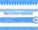 视频号新机制与不刷赞撸养生茶玩法,轻松日赚1000+-16888副业资讯