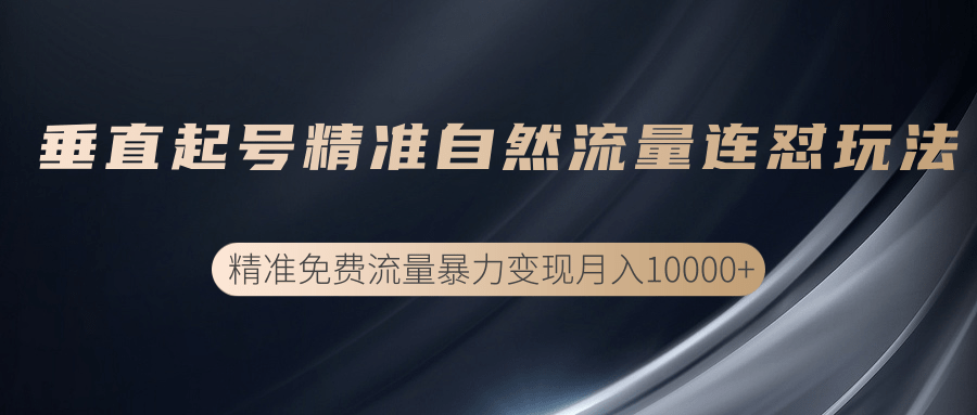 垂直起号精准自然流量连爆玩法，精准引流暴力变现月入10000+-16888副业资讯