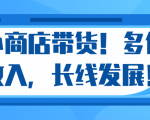 微信小商店带货,爆单多倍收入,长期复利循环!日赚300-800元不等-16888副业资讯