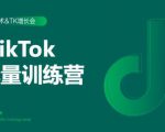 2020最新TikTok流量增长训练营(完结)附PPT-16888副业资讯