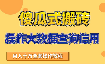 搬砖操作大数据查询信用项目赚钱教程，祝你快速月入6万-16888副业资讯