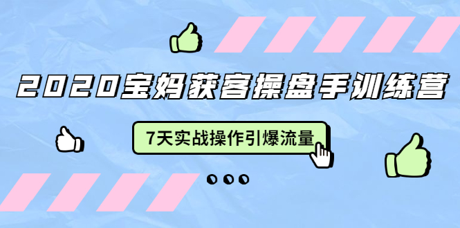 2020宝妈获客操盘手训练营：7天实战操作引爆 母婴、都市、购物宝妈流量-16888副业资讯