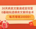 30天疯卖文案速成变现营,0基础玩透爆卖文案捞金术!每月增收20000+-16888副业资讯