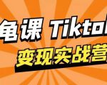 龟课·TikTok变现实战训练营线上第1期,多种变现模式,轻松赚美刀-16888副业资讯