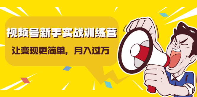 视频号新手实战训练营，让变现更简单，玩赚视频号，轻松月入过万-16888副业资讯