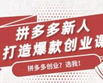 拼多多新人打造爆款创业课:快速引流持续出单,适用于所有新人-16888副业资讯
