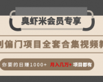 暴利偏门项目全套合集视频教程：你要的日赚1000+月入几万+项目都有-16888副业资讯