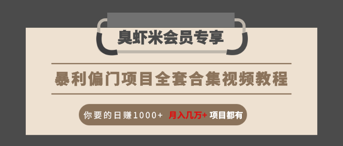 暴利偏门项目全套合集视频教程：你要的日赚1000+月入几万+项目都有-16888副业资讯