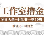 工作室撸金二件套:撸今日头条原创收益+小红书一单利润40块项目-16888副业资讯