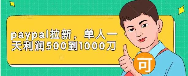 Paypal拉新赚美刀项目，单人一天利润500-1000刀【视频课程】-16888副业资讯