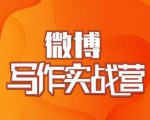 村西边老王·微博超级写作实战营,帮助你粉丝猛涨价值999元-16888副业资讯