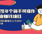 20多个新手可操作的副业赚钱项目：业余时间0基础日入几500+实操分享-16888副业资讯