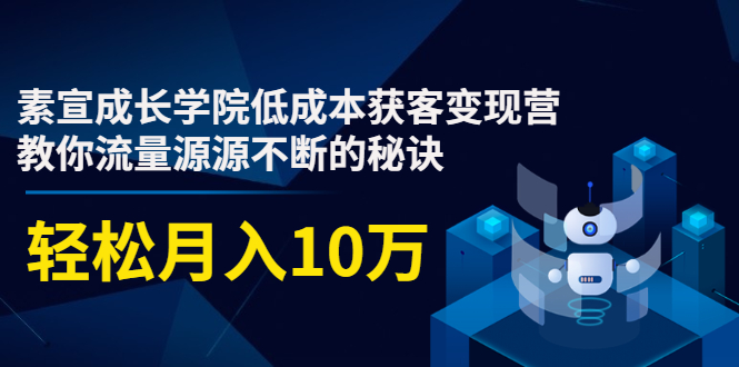 素宣成长学院低成本获客变现营，教你流量源源不断的秘诀，轻松月入10万-16888副业资讯