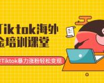 最新Tiktok海外掘金培训课堂:带你玩转Tiktok暴力涨粉轻松变现-16888副业资讯