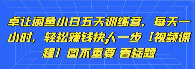 卓让闲鱼小白五天训练营，每天一小时，轻松赚钱快人一步-16888副业资讯