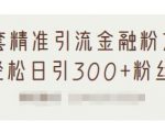 1套精准引流金融粉方法,轻松日引300+粉丝-16888副业资讯