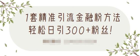 1套精准引流金融粉方法，轻松日引300+粉丝-16888副业资讯