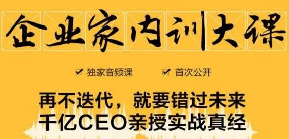 企业家内训大课，未来企业必学经验，价值1299元-16888副业资讯