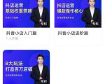 湛北·抖音小店入门进阶高阶合集,八大玩法打造百万店铺-16888副业资讯