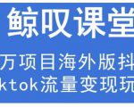 鲸叹号·海外TIKTOK训练营,百万项目海外版抖音tiktok流量变现玩法-16888副业资讯