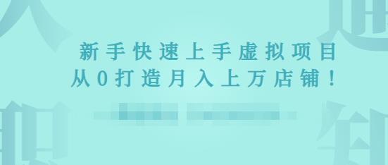 2022年虚拟项目实战指南，新手从0打造月入上万店铺-16888副业资讯