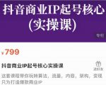 抖音商业IP起号核心实操课，带你玩转算法，流量，内容，架构，变现-16888副业资讯