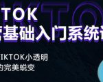 Tiktok实操进阶课程,体验从tiktok小透明到大佬的完美蜕变-16888副业资讯