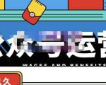 零零已久·从0-1运营公众号，零基础小白也能上手，系统性了解公众号运营-16888副业资讯