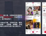 麦子互娱短视频带货·0基础做好物分享账号，无需出镜无需货源无需拍摄-16888副业资讯
