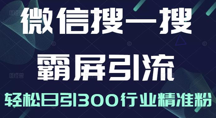 微信搜一搜霸屏引流课，打造被动精准引流系统，轻松日引300行业精准粉-16888副业资讯
