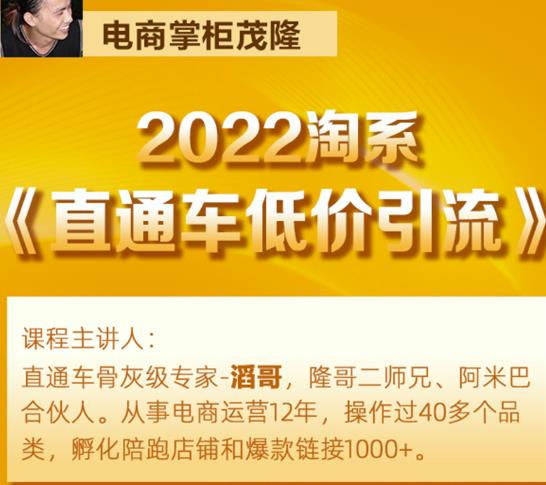 茂隆2022直通车低价引流玩法，教大家如何低投入高回报的直通车玩法-16888副业资讯