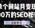 单个网站月变现100万的SEO秘密,百分百做出赚钱站点-16888副业资讯