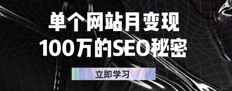 单个网站月变现100万的SEO秘密，百分百做出赚钱站点-16888副业资讯
