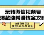 玩转微信视频号爆款涨粉赚钱全攻略,快速涨粉百万变现万元秘诀-16888副业资讯